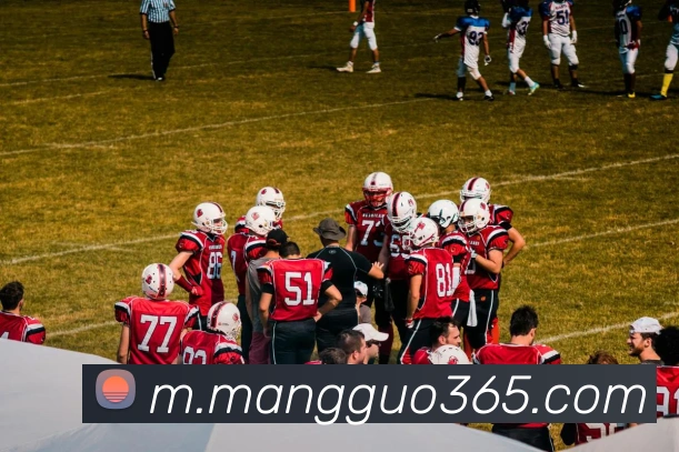 芒果体育APP 封面图